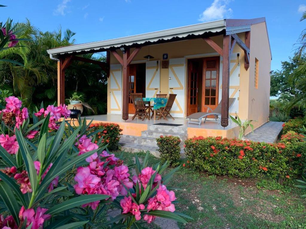 Les Palmes Du Moulin Villa Saint-Louis Exterior photo